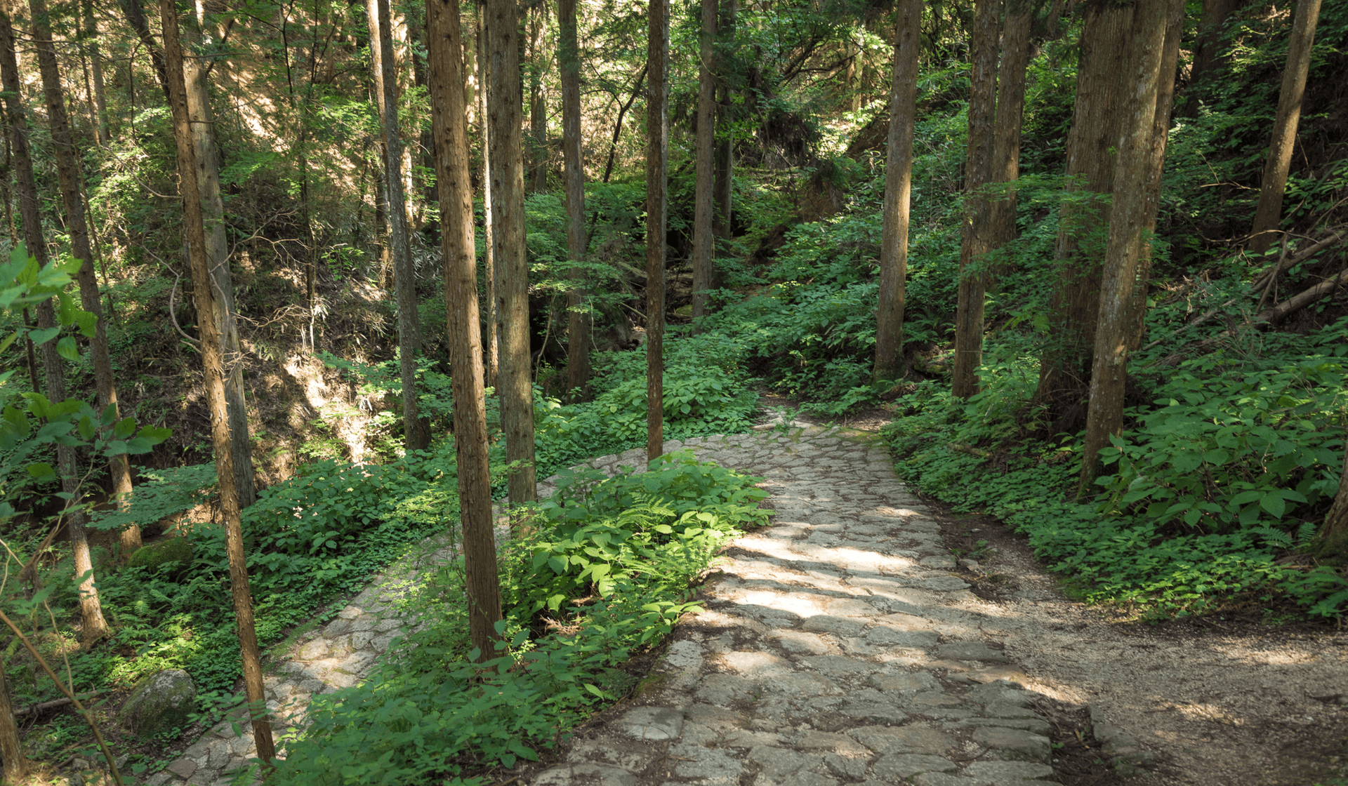 Der Nakasendo-Weg: Historische Route zwischen Kyoto und Tokio