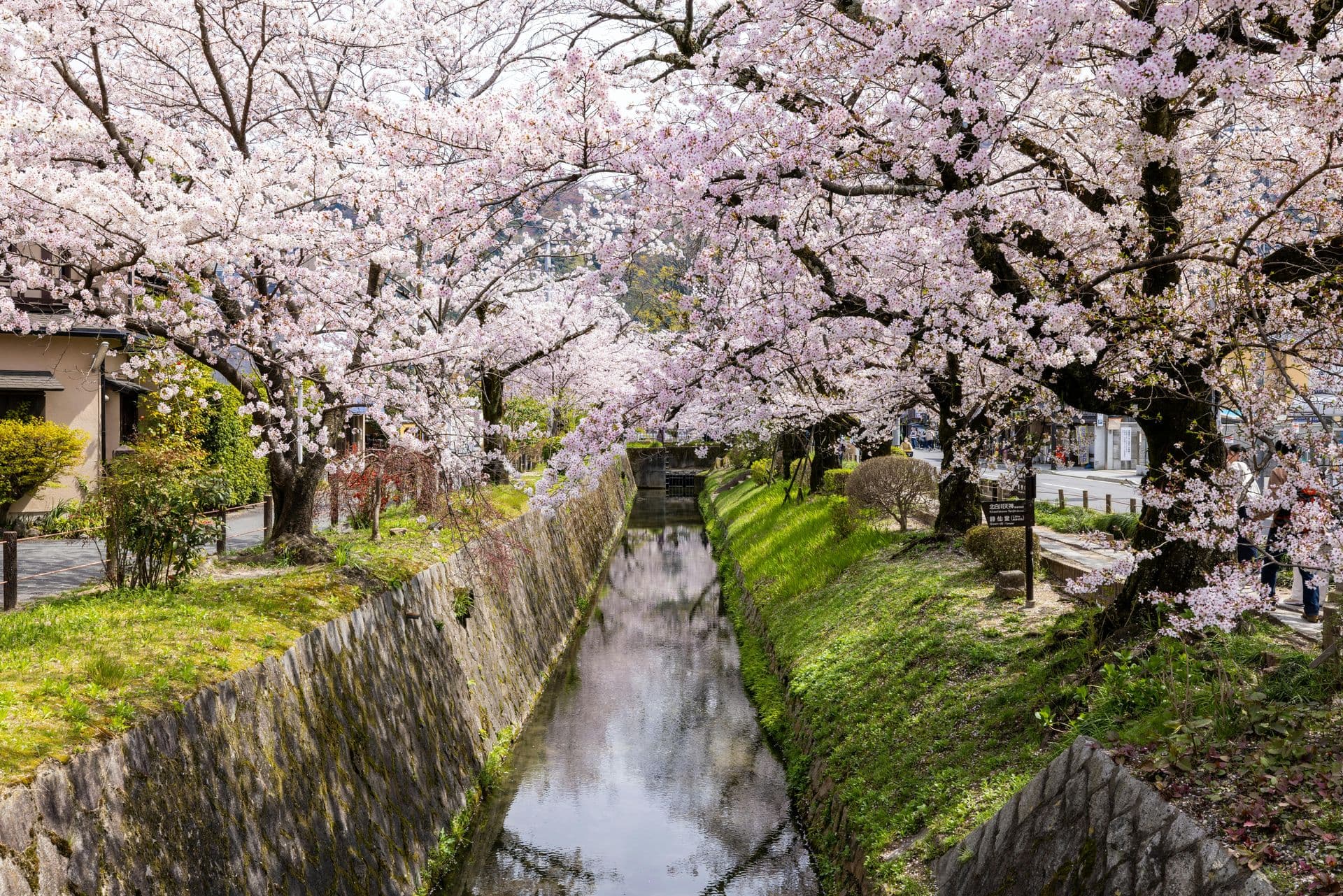Philosopher's path