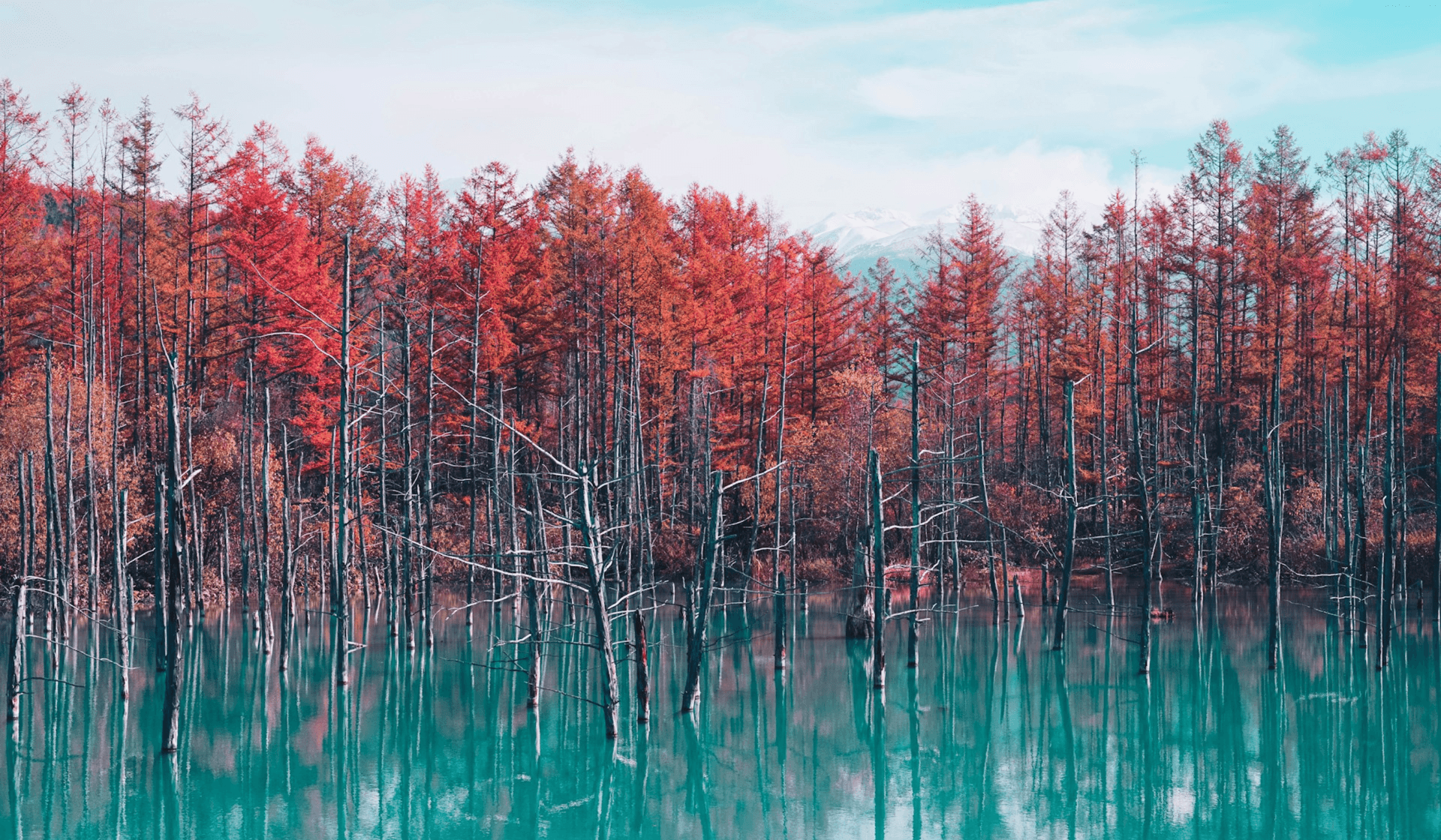 Die wichtigsten Highlights im Norden Japans