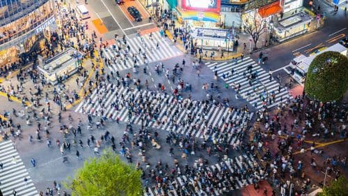 shibuya crossing