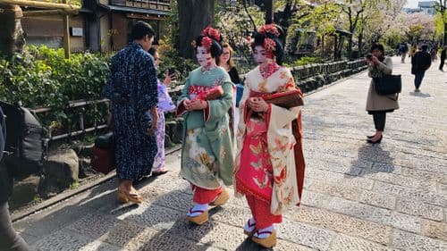 Geisha in Kyoto